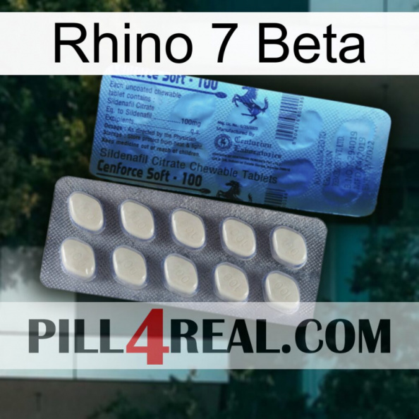 Rhino 7 Beta 34.jpg